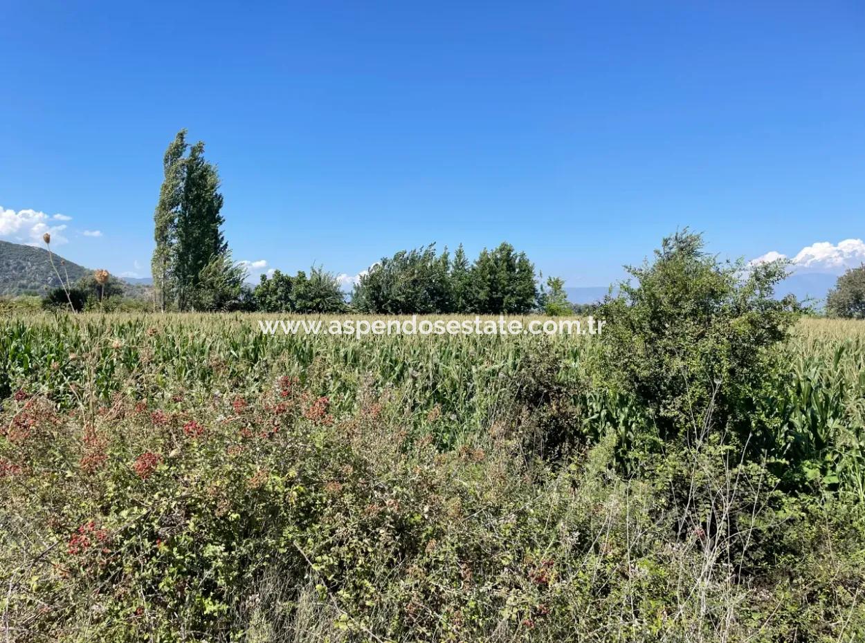 Dalyan Main Road Zero Land For Sale 8115M2 Commercial Land For Sale