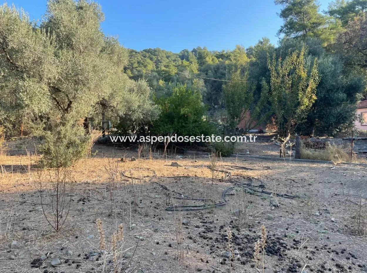 Çandir 3,800M2 Land For Sale