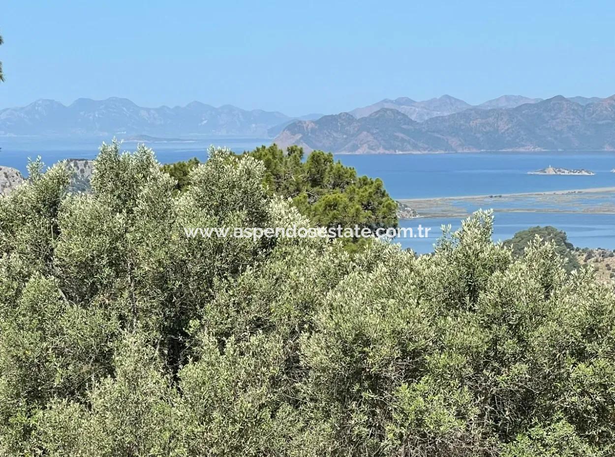 Land For Sale With Sea View In Gokbel