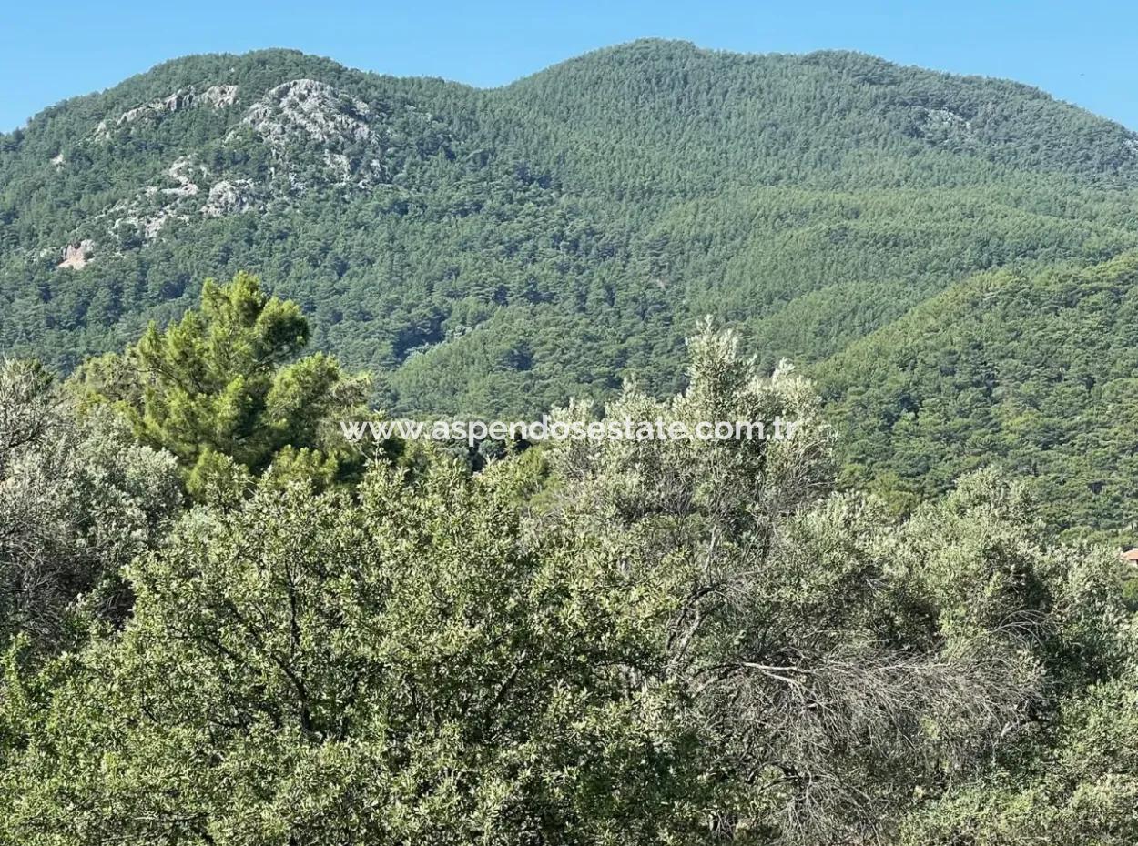 Land For Sale With Sea View In Gokbel