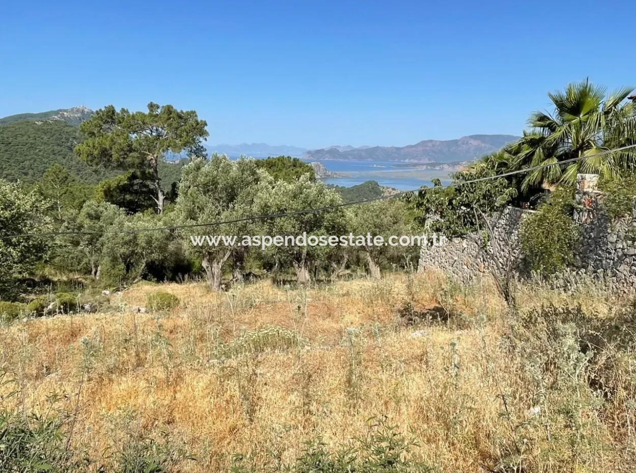 Land For Sale With Sea View In Gokbel