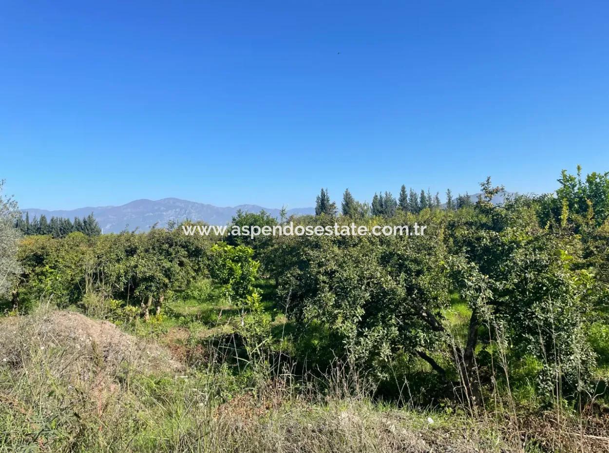 2223M2 Fields For Sale In Dalyan