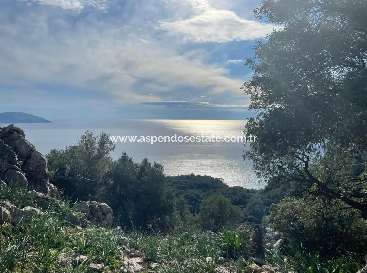 8,900M2 Field For Sale With Full Sea View In Ekincik