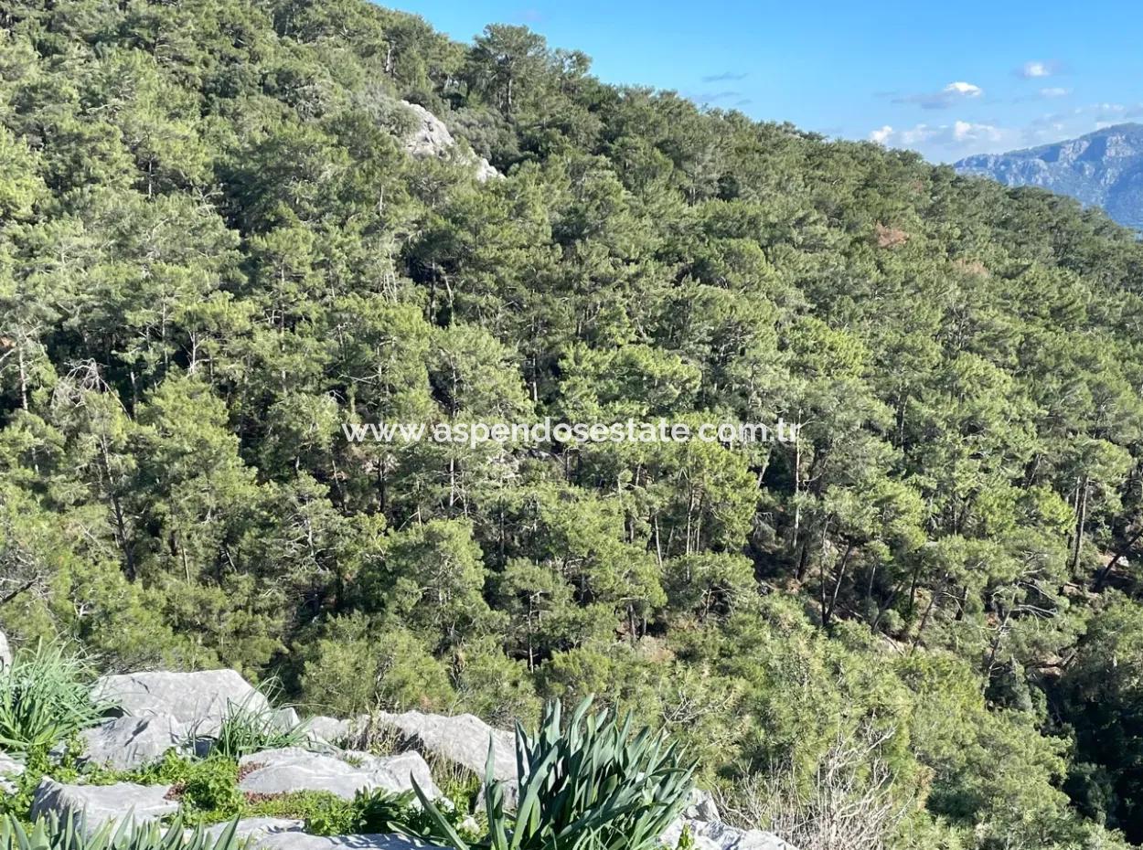 4000M2  For Sale With Lake View In Çandir
