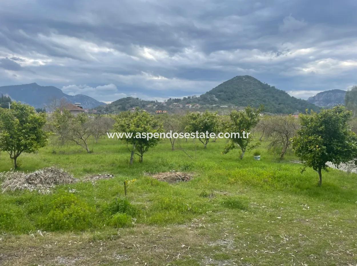 Dalyan Boutique Hotel For Sale Bungolevler For Sale In 11.000M2 Plot