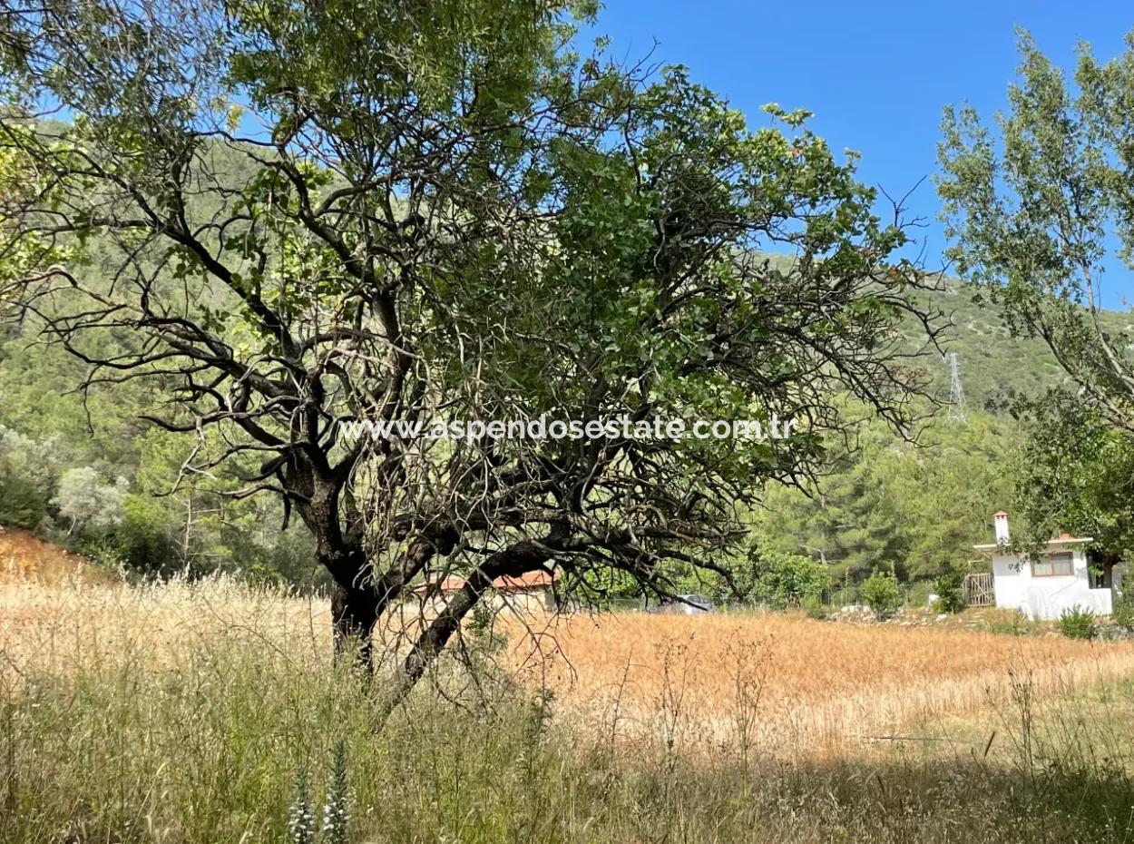 Land For Sale In Ula Armutchuk With 501M2 Zoning