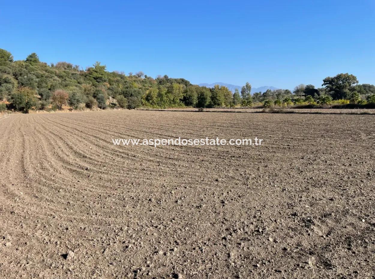 6254M2 Field For Sale Near Dalyan In Eskiköy