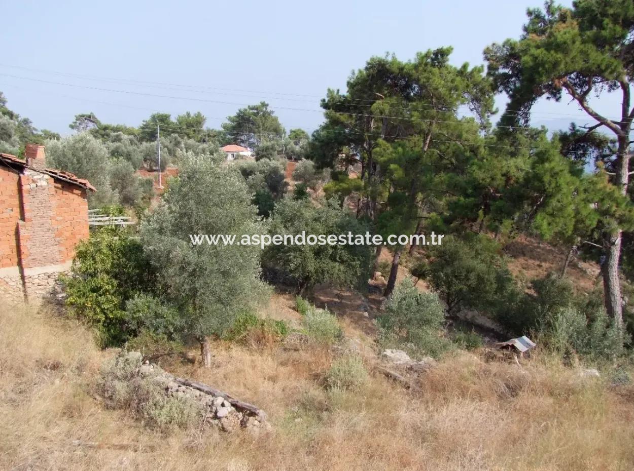 5000M2 Plot Of Land For Sale In Akyaka With Full Sea View House For Sale Kentucky