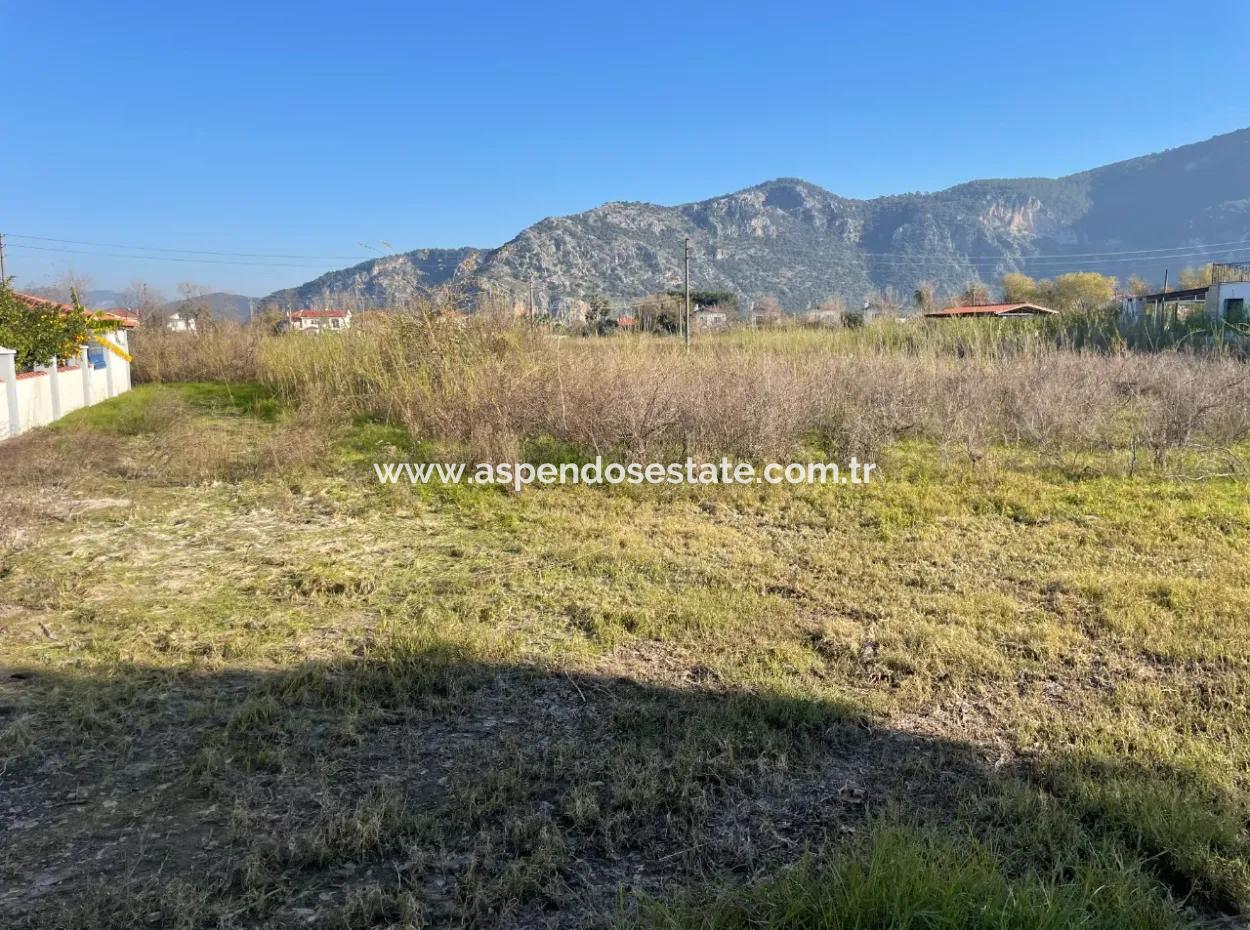 Dalyan 1000M2 Köşebaşı Land For Sale