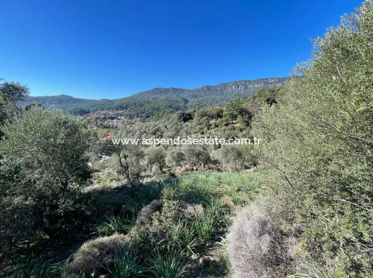 950M2 2B Field For Sale With Sea And Lake View In Çandır