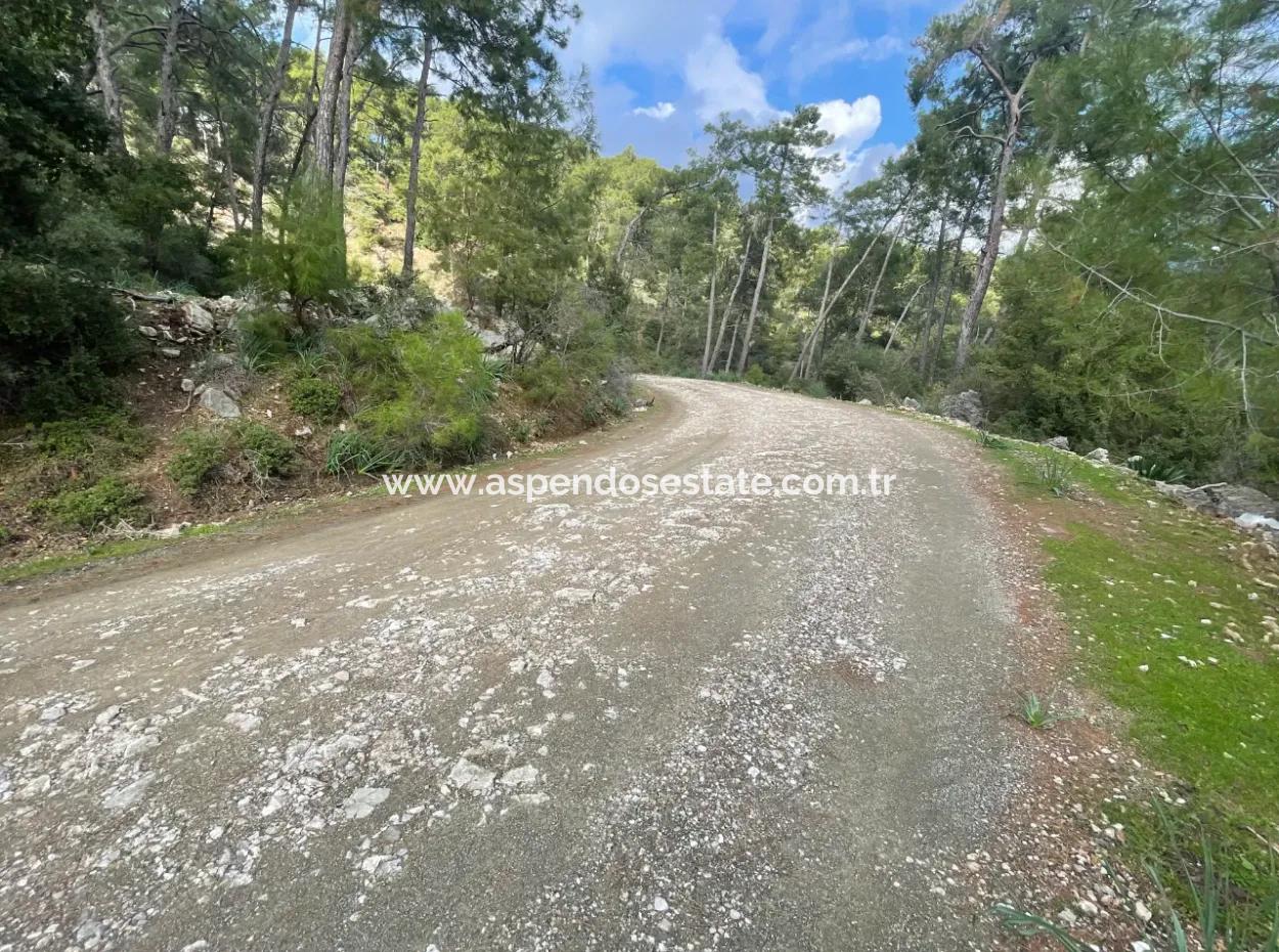 10,707M2 2B Field For Sale With Sea Lake View In Çandır