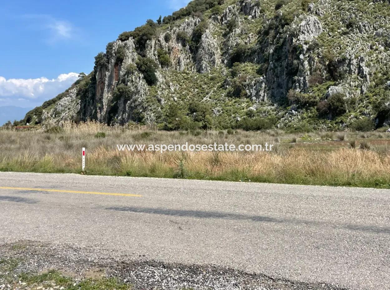 Dalyan Iztuzu Beach Road Zero 19,600M2 Field Land For Sale