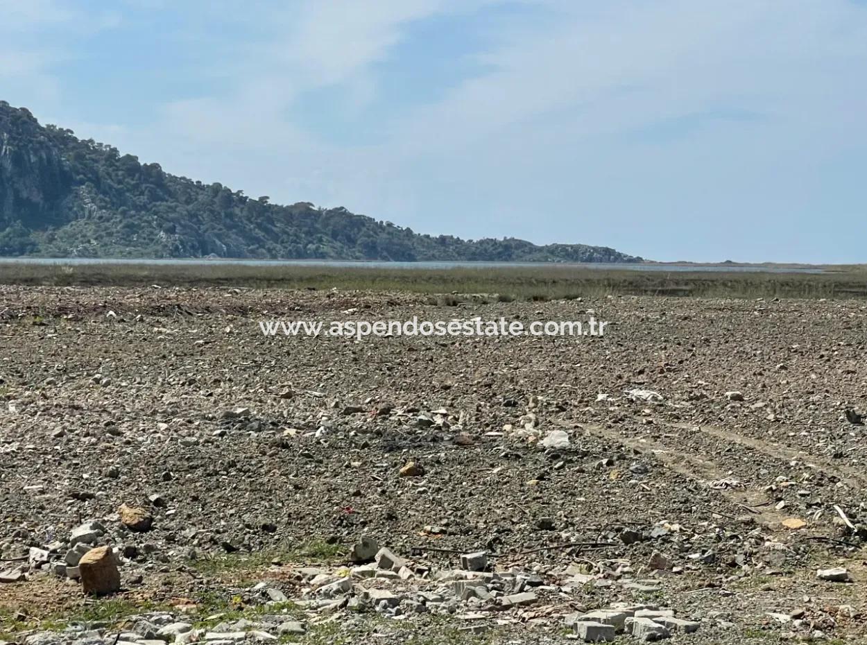 Dalyan Iztuzu Beach Road Zero 19,600M2 Field Land For Sale