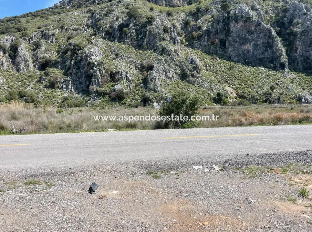 Dalyan Iztuzu Beach Road Zero 19,600M2 Field Land For Sale