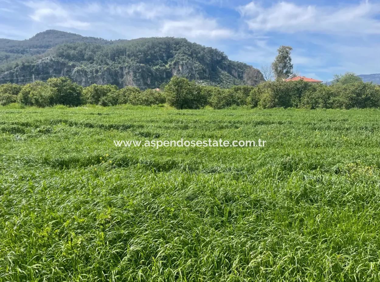 736M2 Land For Sale In Okçular