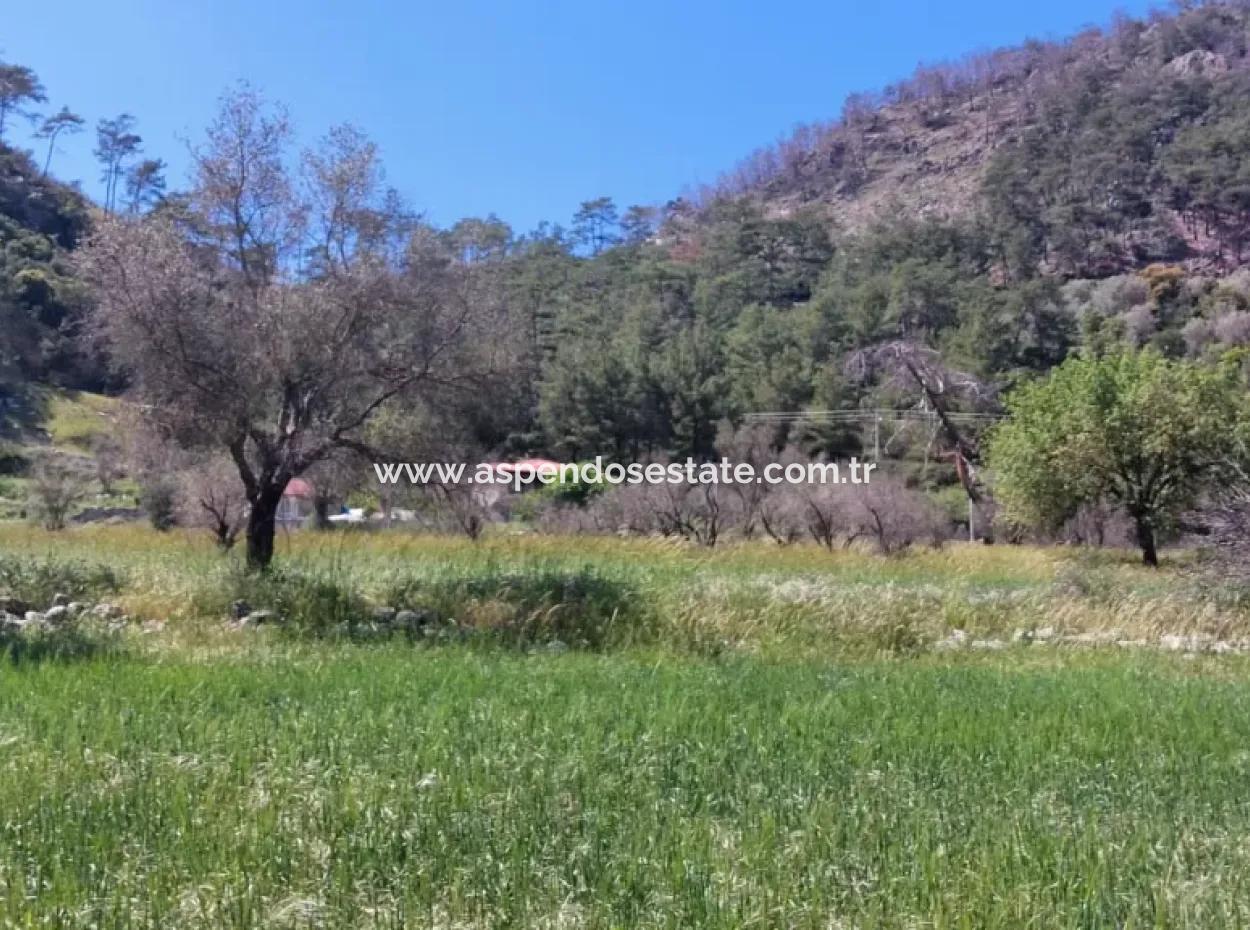 Marmaris Turgut Investment Land For Sale 29600M2 For Sale