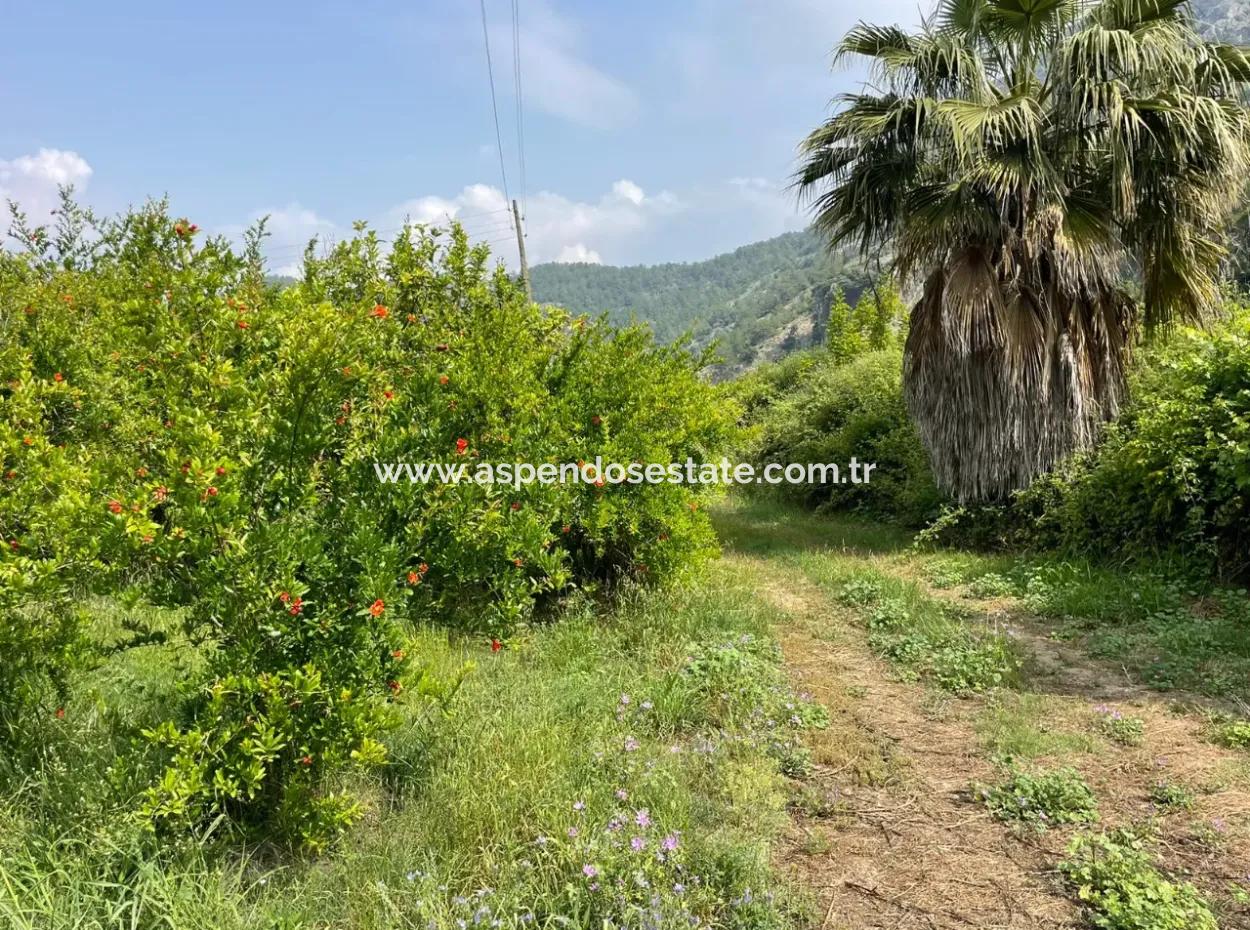 7800M2 Land For Sale At The Beginning Of Iztuzu Beach Road In Gökbel