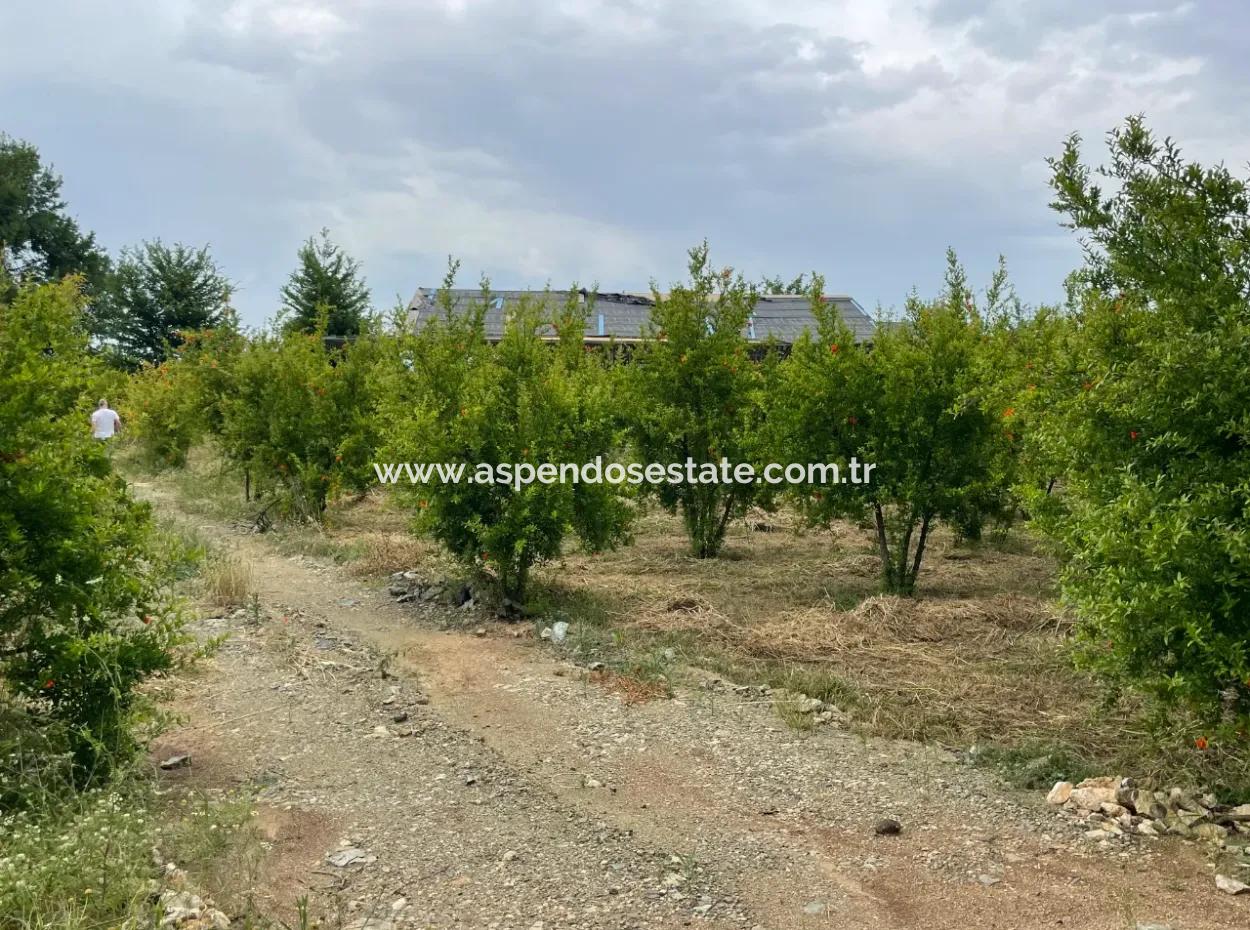2,528M2 Field For Sale Near The Center Of Dalyan