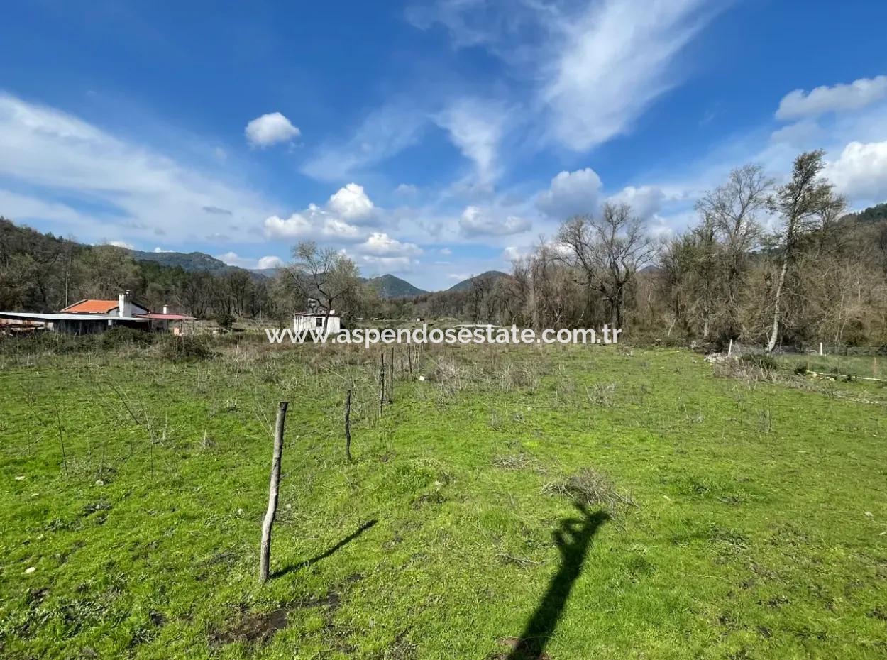 Sultaniye Büyükkaraç Mahallesin For Sale Field