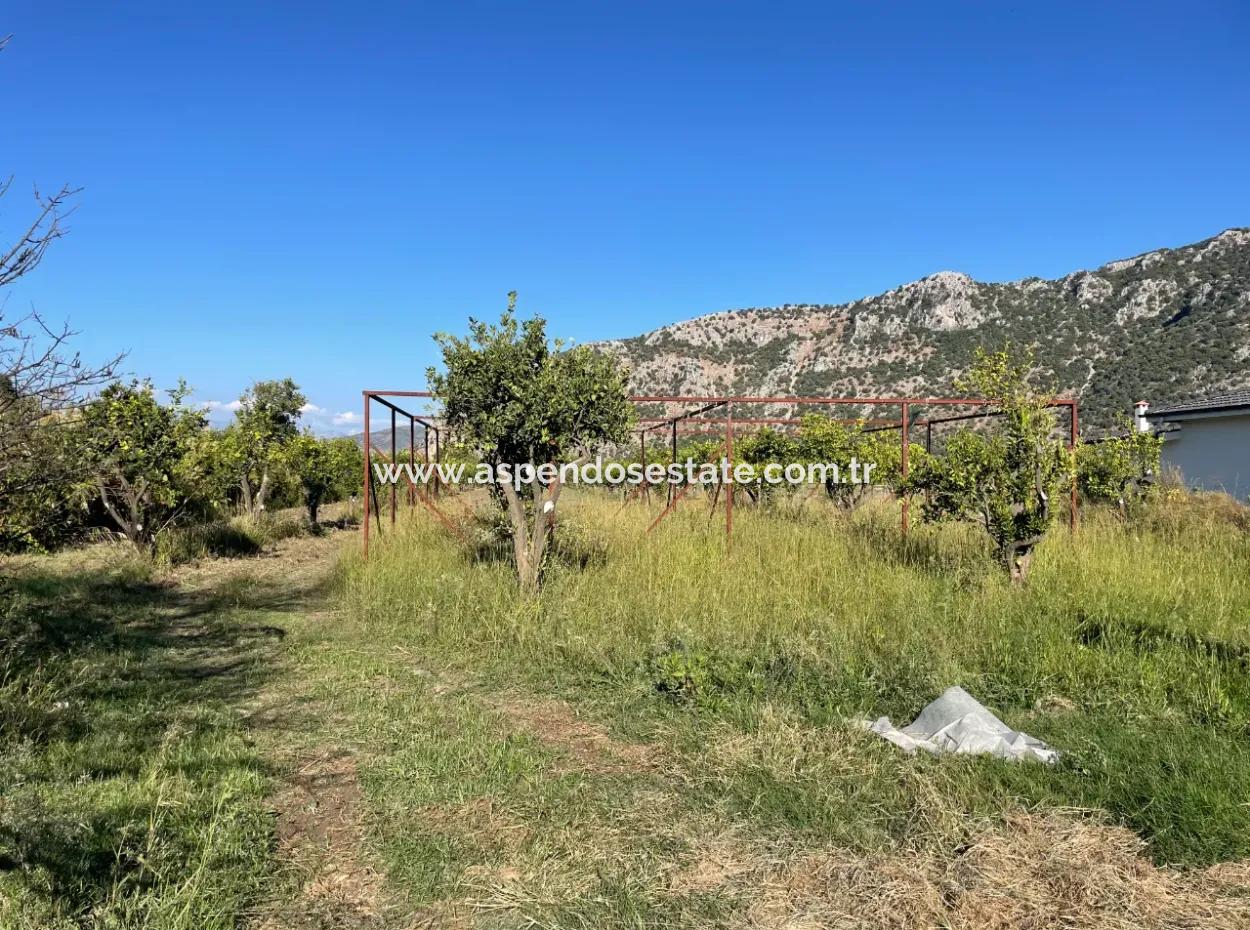 Land For Sale In Dalyan Close To The Center Of 6600M2
