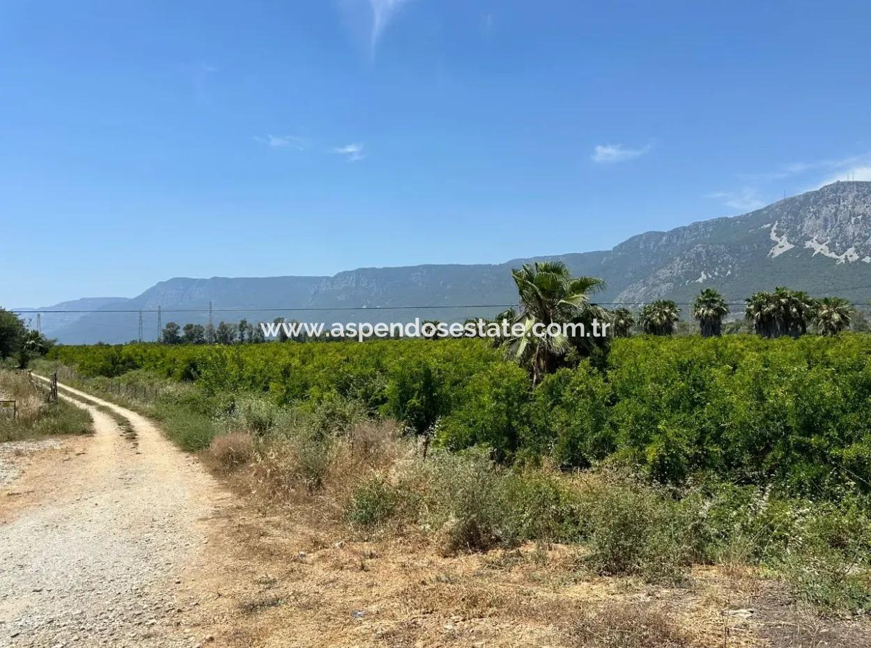 13,500M2 Roadfront Field For Sale In Akyaka Akçapınar