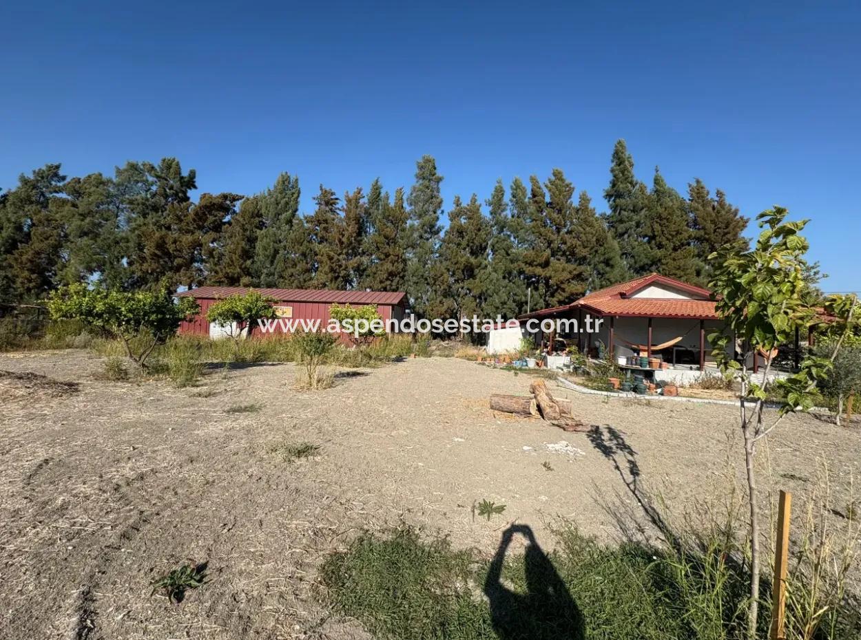 19.663M2 Farm Land And House For Sale In Eskiköy