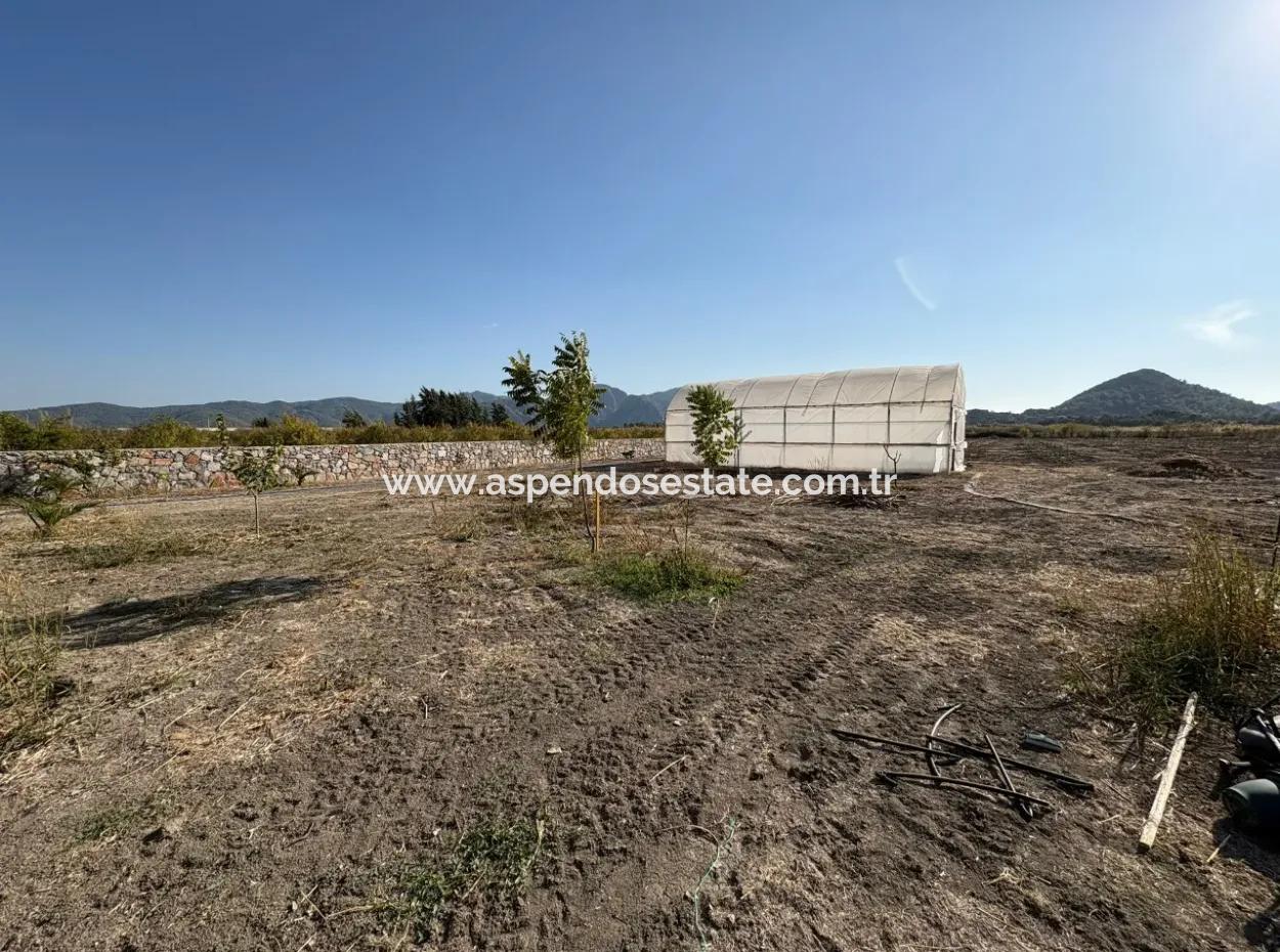 19.663M2 Farm Land And House For Sale In Eskiköy