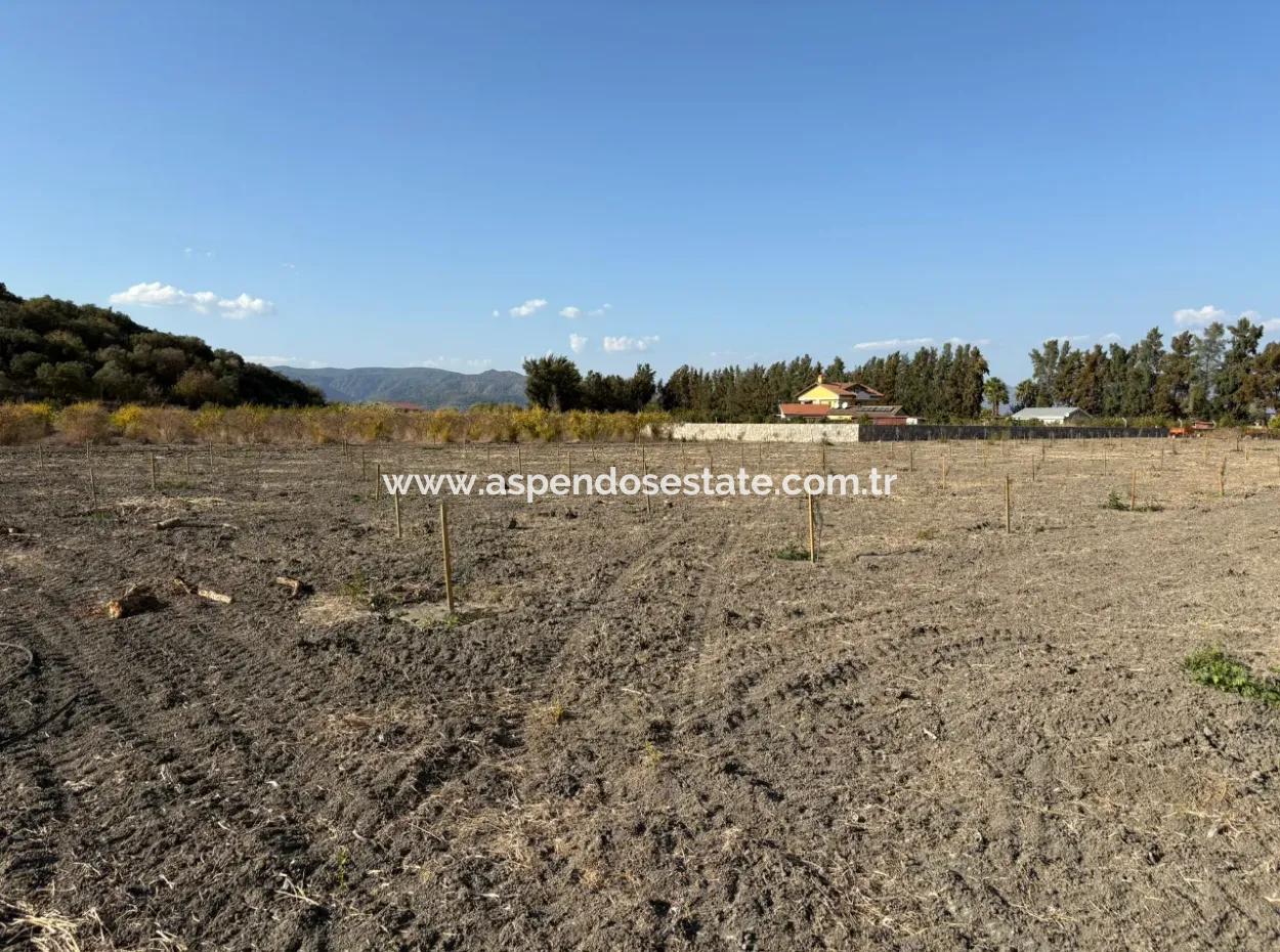 19.663M2 Farm Land And House For Sale In Eskiköy