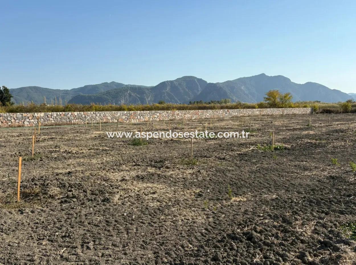 19.663M2 Farm Land And House For Sale In Eskiköy