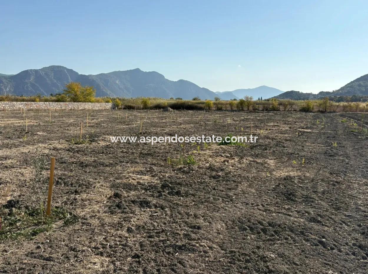 19.663M2 Farm Land And House For Sale In Eskiköy