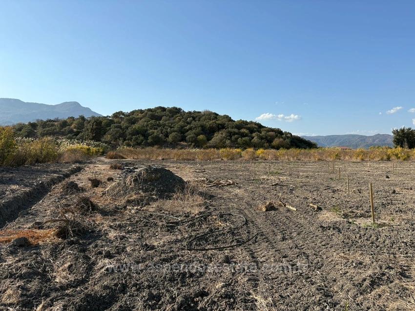 Земельный Участок И Дом Площадью 19 663 М² В Эскикёе.