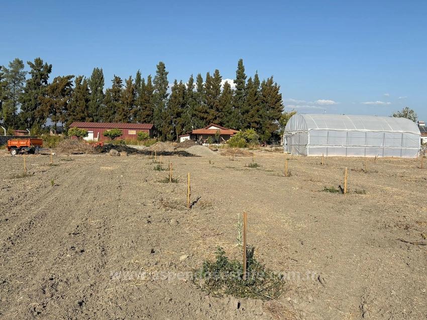 Земельный Участок И Дом Площадью 19 663 М² В Эскикёе.