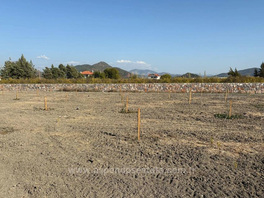 Земельный Участок И Дом Площадью 19 663 М² В Эскикёе.