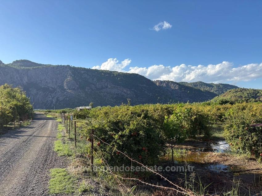 Продается Земельный Участок Площадью 3900 М2 С Разрешением На Строительство В Ортаджа Ешилюрт