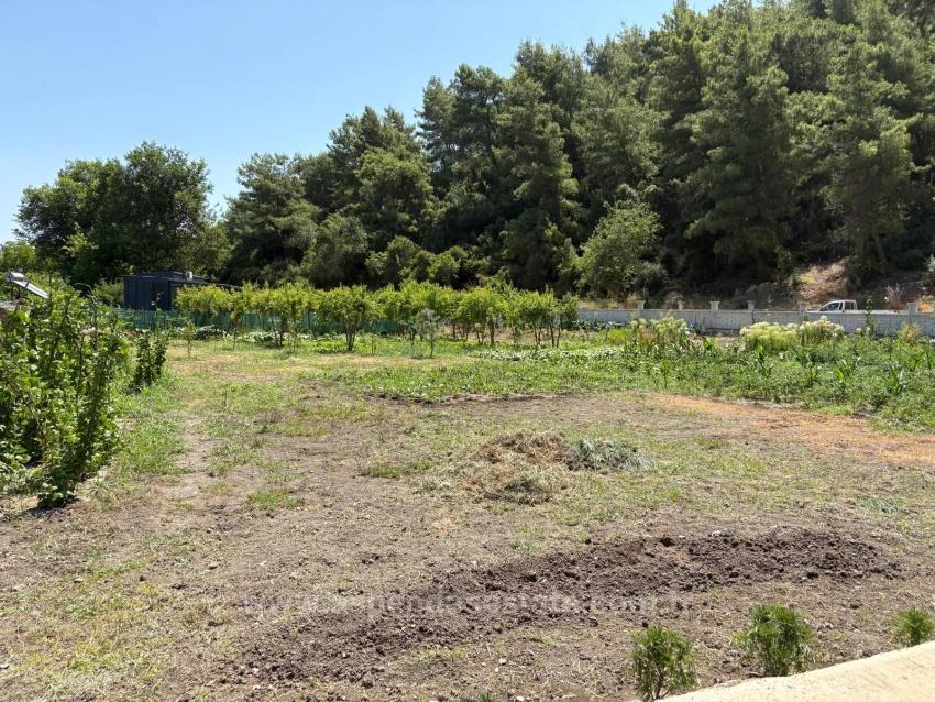 Отдельно Стоящий Деревянный Дом Площадью 120 М² На Участке Площадью 2500 М² В Районе Дальян Карадаг.