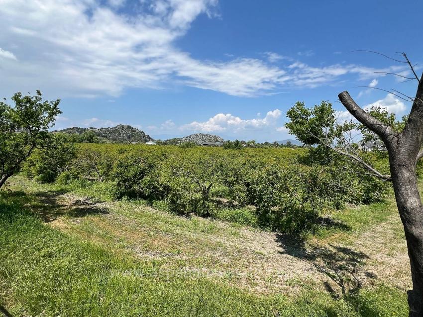 Продается Земельный Участок Площадью 5100 М² В Дальяне, Район Мараш, С Зонированием Под Жилую Застройку На 5%.