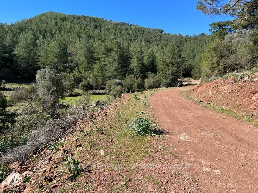 Продается Земельный Участок В Гёкбеле, В Окружении Природы И Леса.