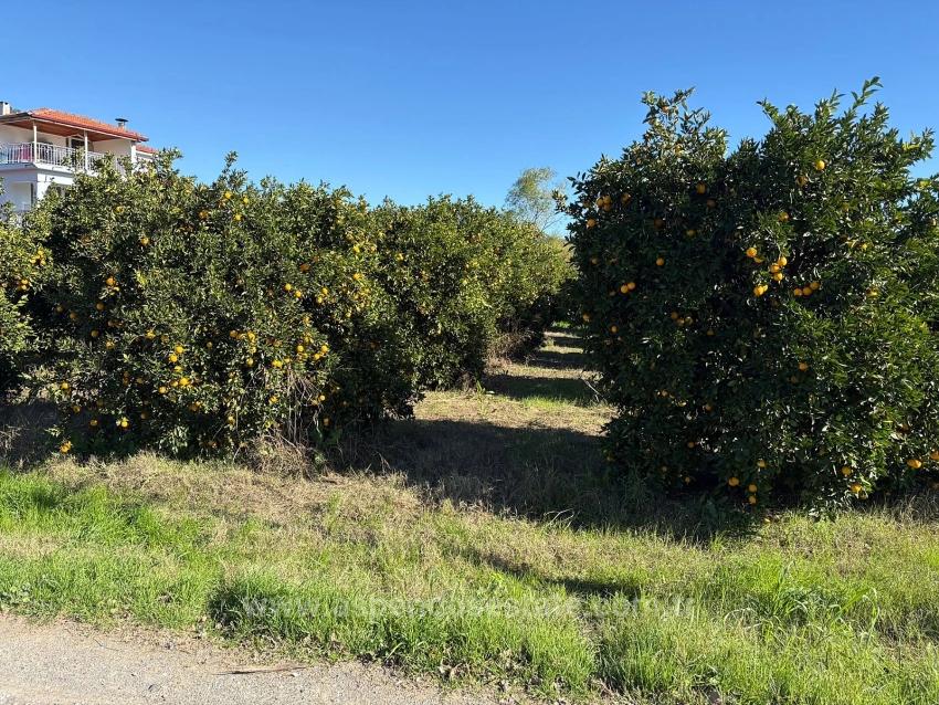 Продается Земельный Участок В Экшилиюрте, С Разрешением На Застройку, Площадью 1085 М2.