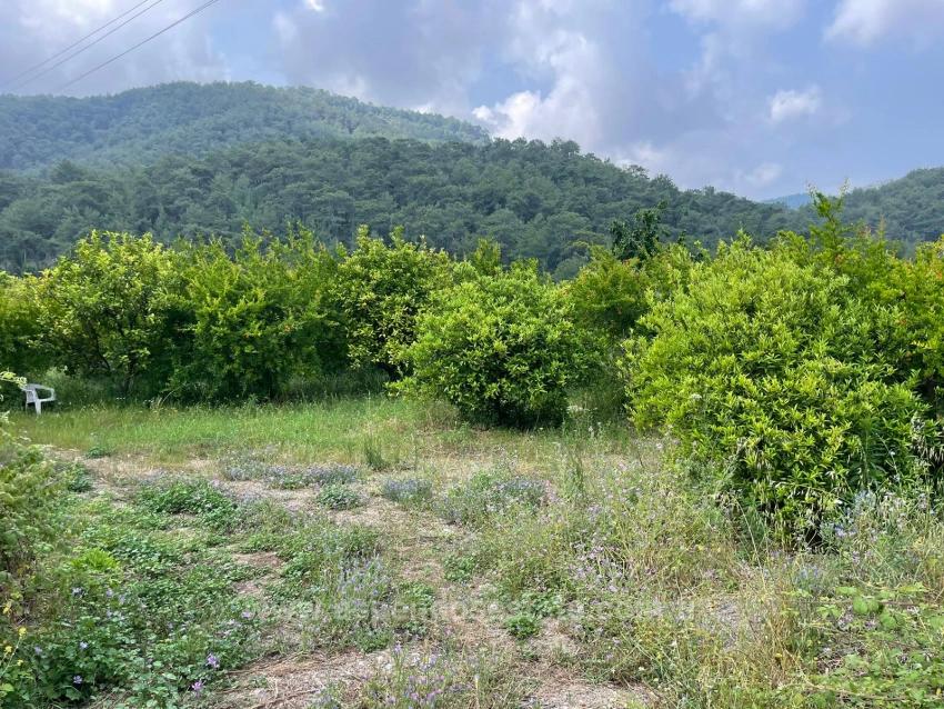 Земля 7800M2 На Продажу В Гёкбеле, Рядом С Дорогой Изтузу Бич Роуд