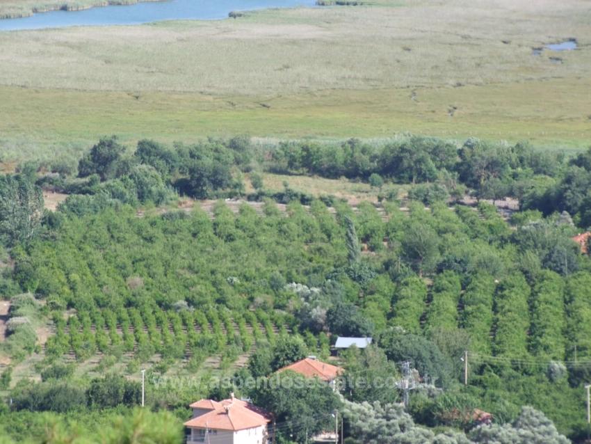 Продается Земельный Участок Площадью 19 334 М² В Чандыре, Кёйджегиз.