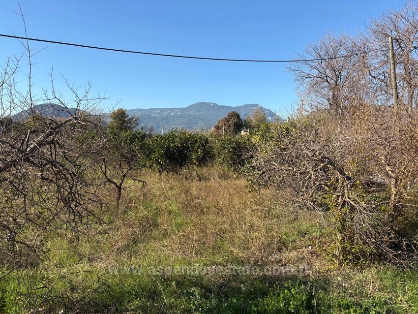 Продается Сад Площадью 4541 М² В Дальяне.