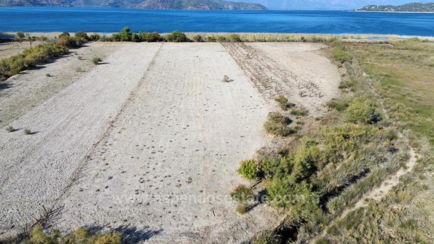 Для Продажи Поле в Sultaniye Köyceğiz - Под Поле застройку - 3.210 m²