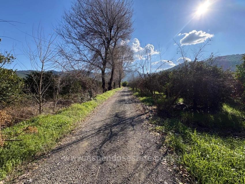 Продается Земельный Участок Площадью 4326 М² В Жилом Районе Окчулар.