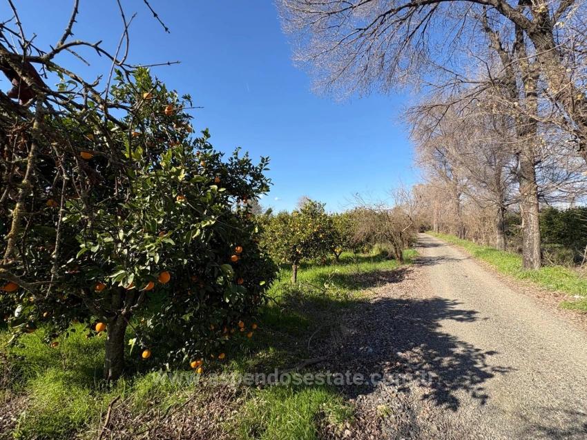 Продается Земельный Участок Площадью 4326 М² В Жилом Районе Окчулар.