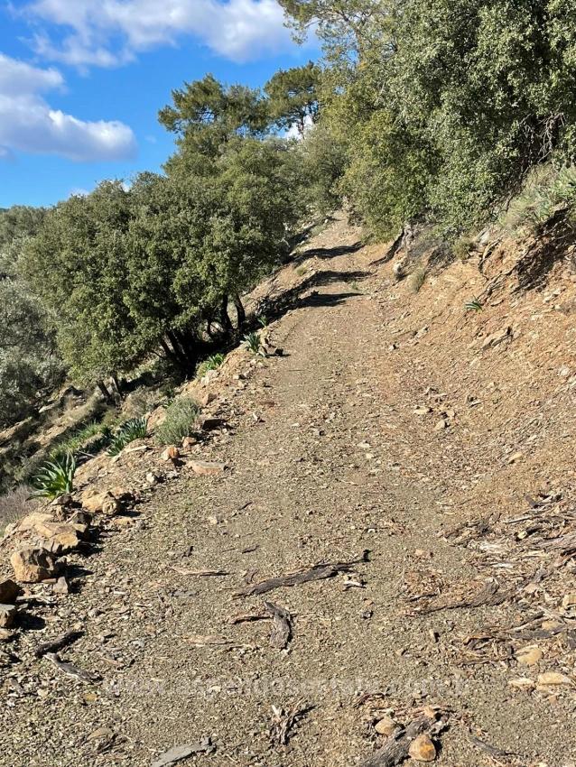 Чандыр 20.000M2 2B С Полным Видом На Море На Продажу