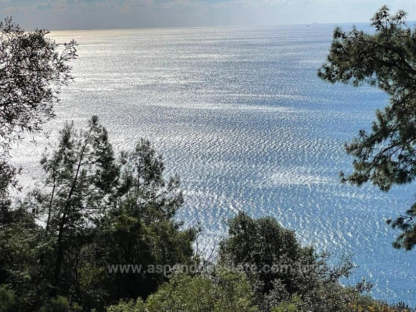 Чандыр 20.000M2 2B С Полным Видом На Море На Продажу