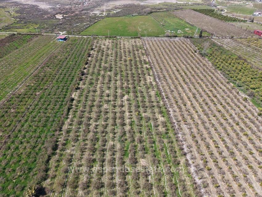 Гранатовый Сад Площадью 16.710 М2 На Продажу С Видом На Озеро В Эскикёй