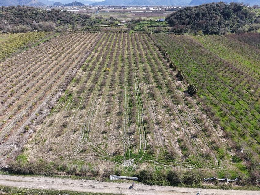 Гранатовый Сад Площадью 16.710 М2 На Продажу С Видом На Озеро В Эскикёй