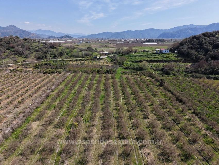 Гранатовый Сад Площадью 16.710 М2 На Продажу С Видом На Озеро В Эскикёй