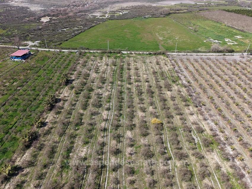 Гранатовый Сад Площадью 16.710 М2 На Продажу С Видом На Озеро В Эскикёй